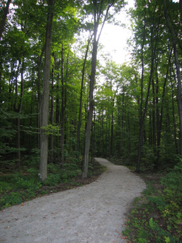 Mount Pleasant North